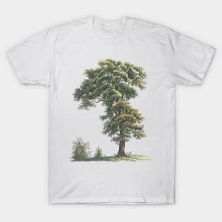 Trees Oil Painting T-Shirt